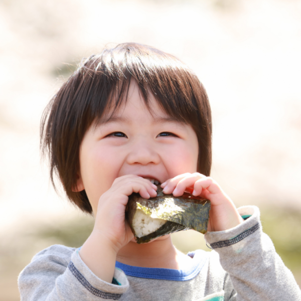 昆布、ワカメ、海苔……古来から日本人の健康を守ってきたソウルフード“海藻”のチカラ