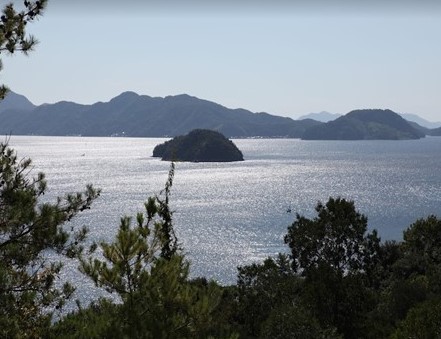 佐木島プロジェクト玉ねぎ定植作業とトマト農場見学【地域再生】サムネイル画像