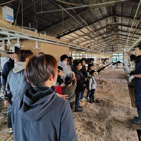 フレスタ河内店リニューアル1周年記念　サゴタニ牧場体験ツアー開催【食育推進・地域活動】サムネイル画像