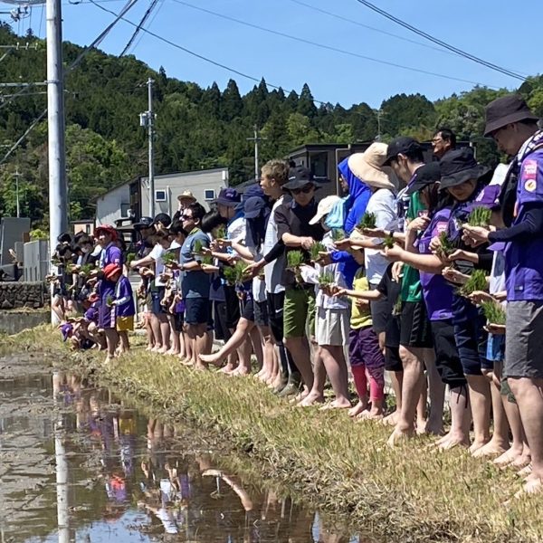 サンフレッチェ応援米田植えツアー・新入社員研修の実施【食育推進・スポーツ応援】