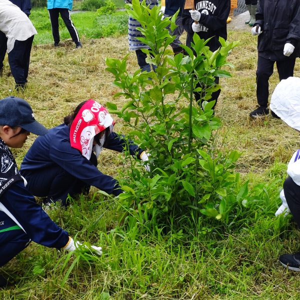 レモン畑から始まる学びの一日！地域とつながる新入社員研修【地域創生】